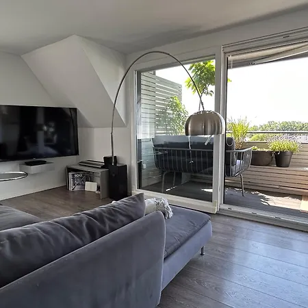 Apartment Rooftop Living Inkl Homeoffice Bis 4 Personen Friedrichshafen
